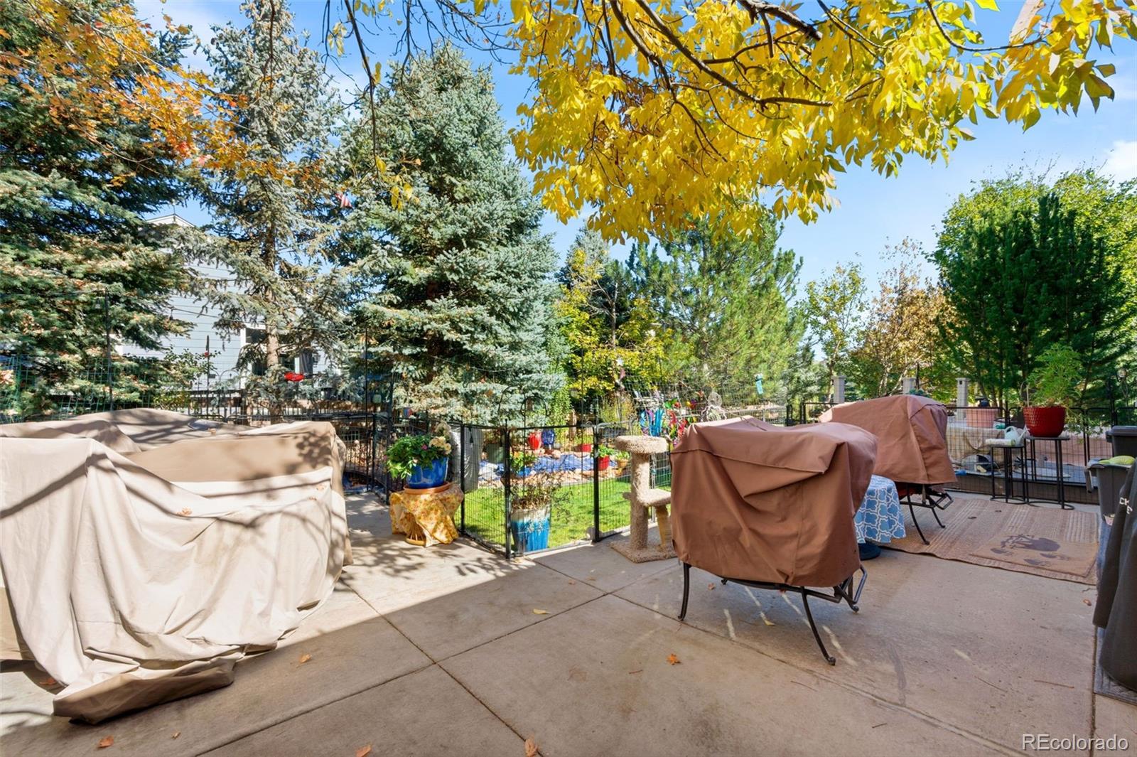 1603 Rosemary Court Castle Rock CO 80109