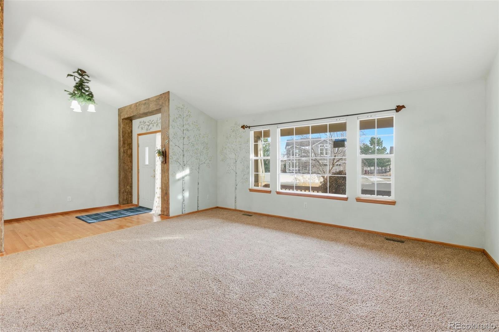 1603 Rosemary Court Castle Rock CO 80109