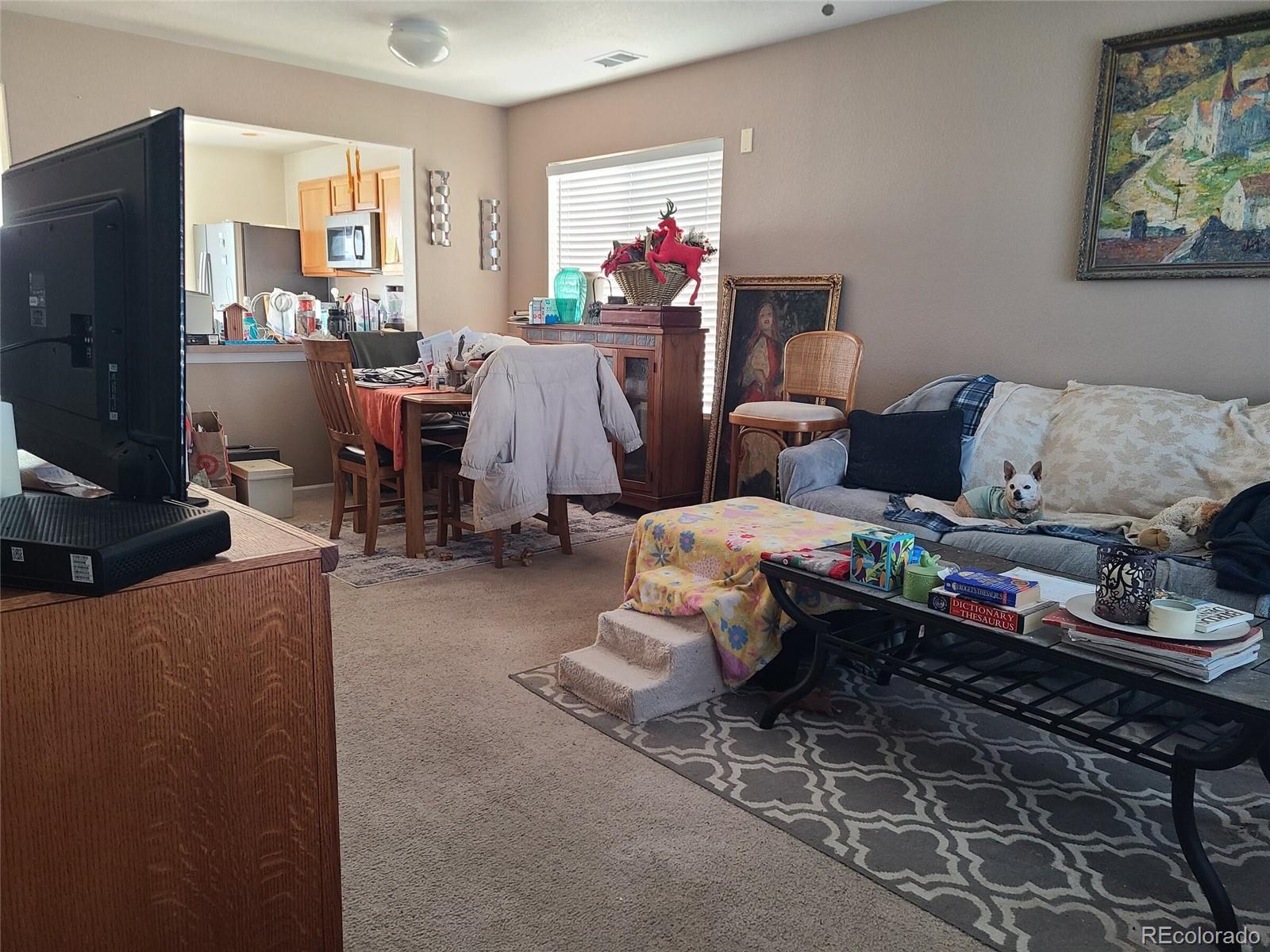 4315 Orleans Street Denver CO 80249