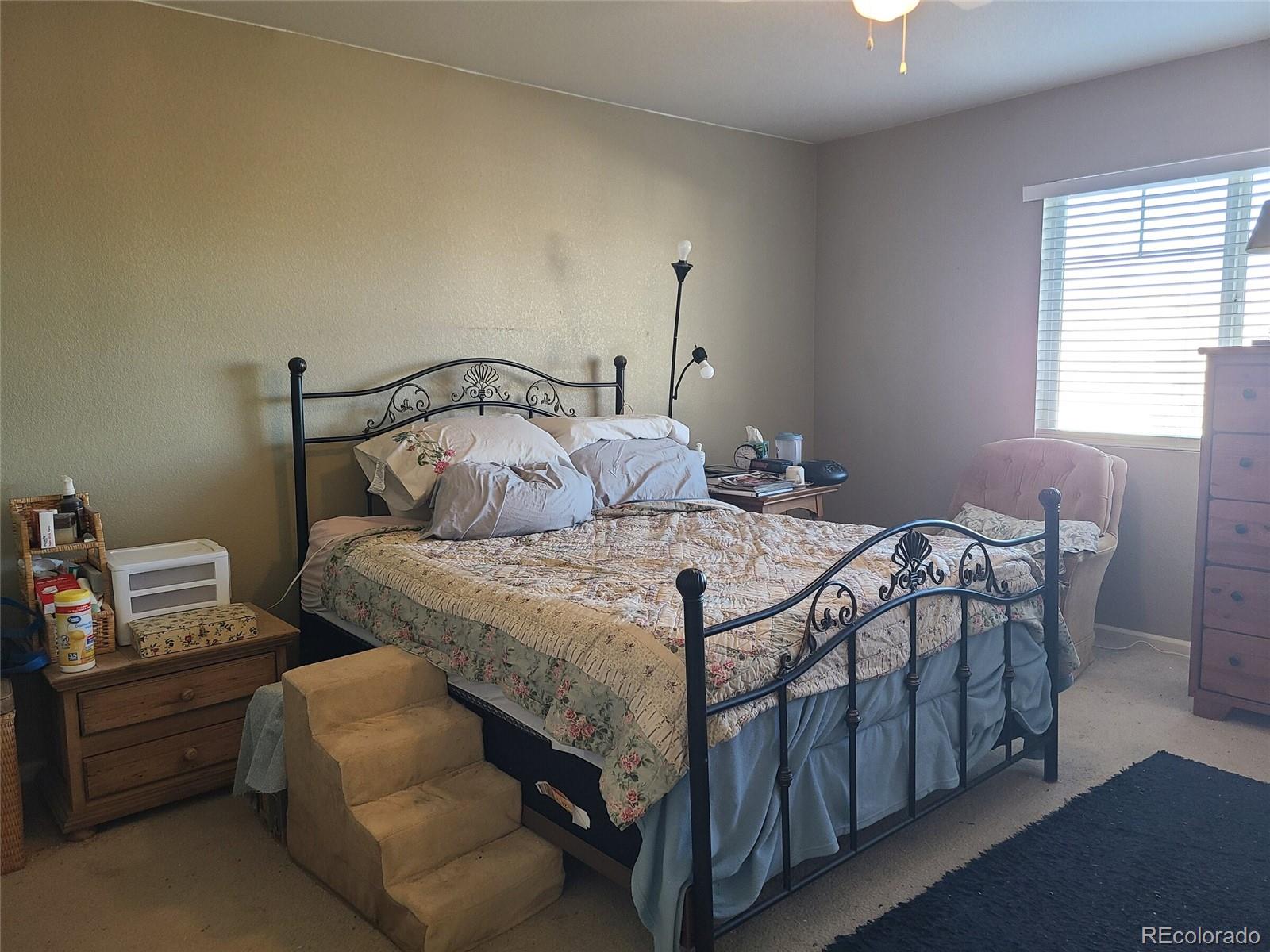 4315 Orleans Street Denver CO 80249