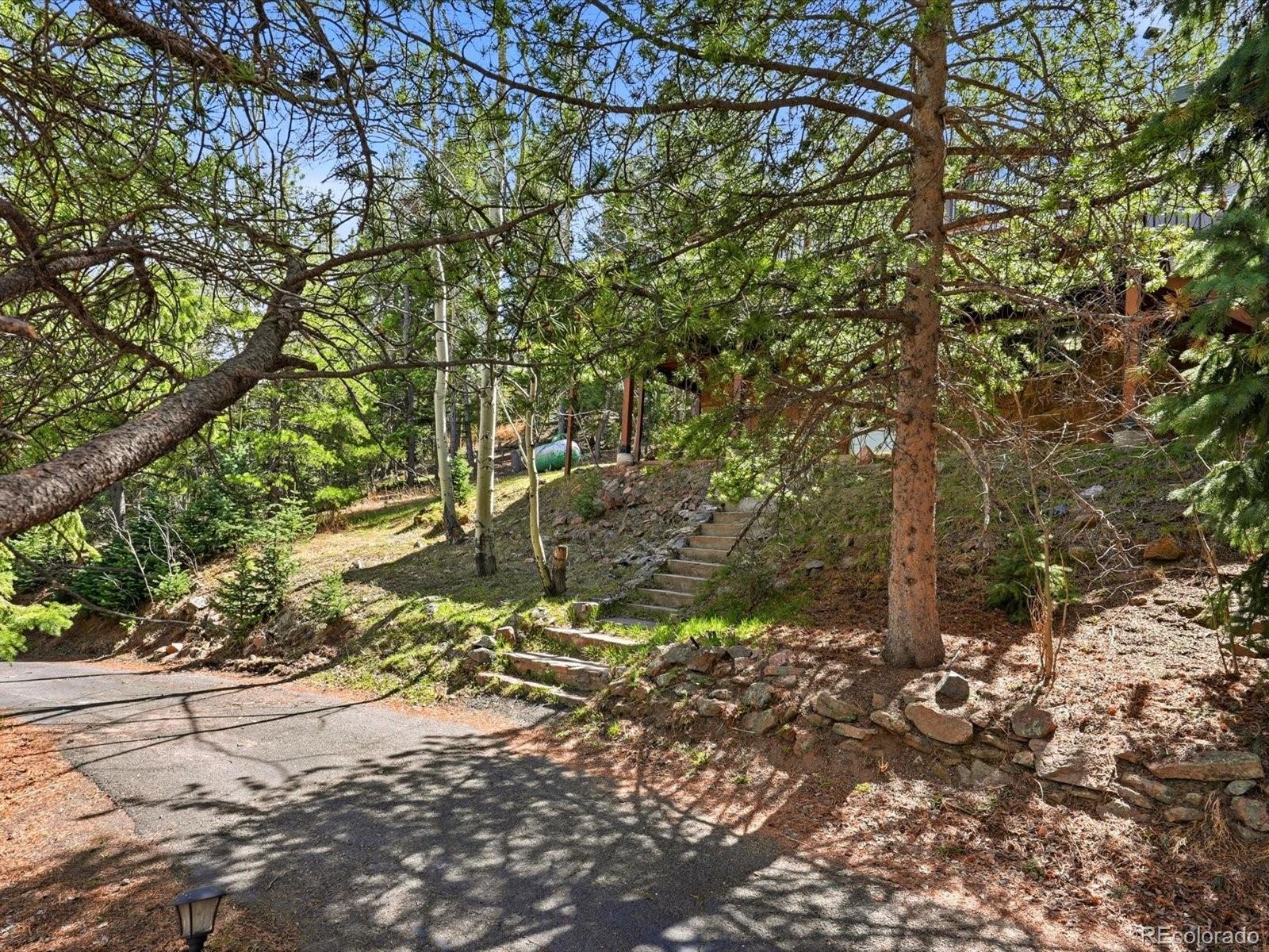 8829 Black Mountain Drive Conifer CO 80433