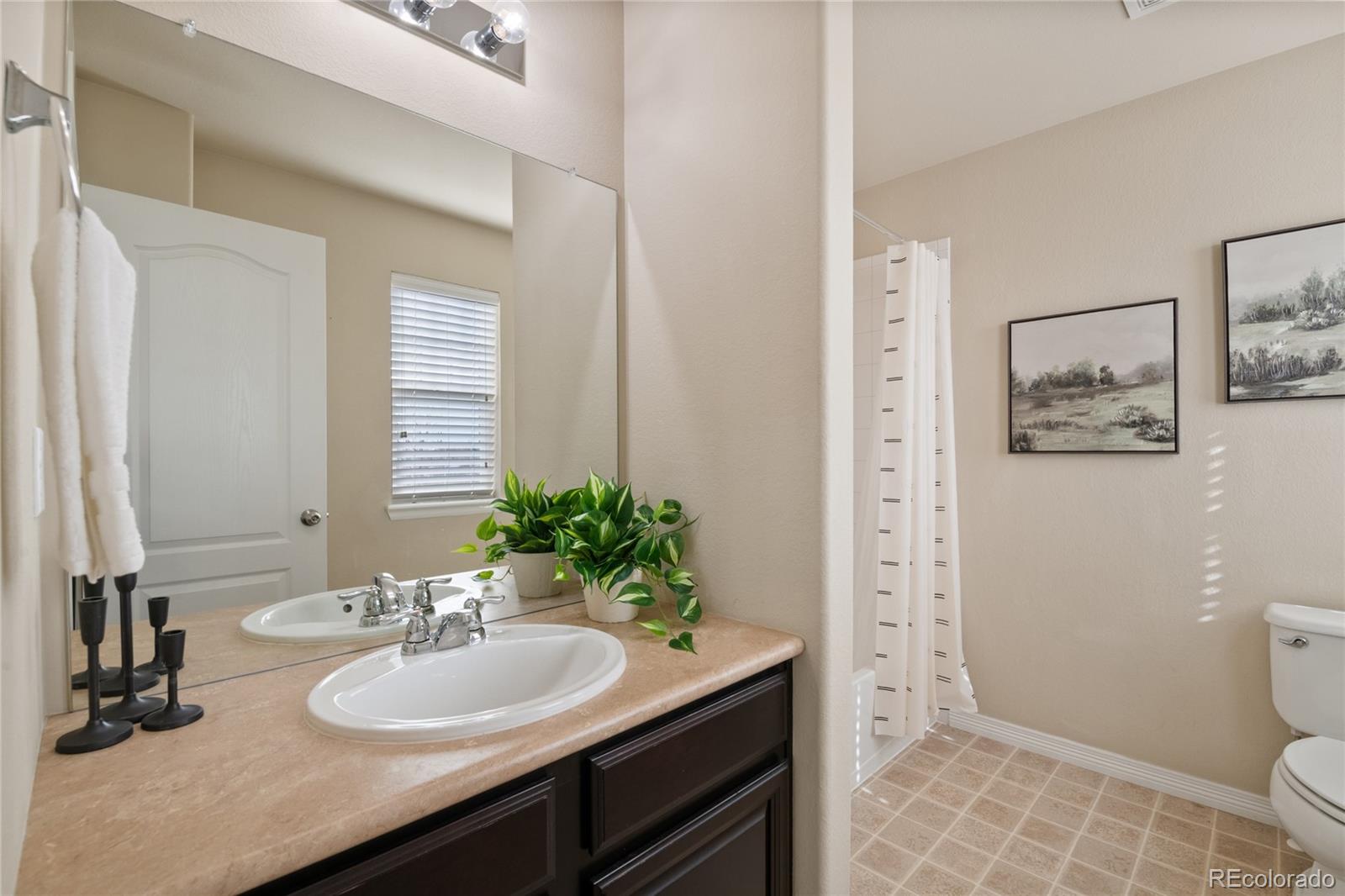 5563 S Elk Court Aurora CO 80016