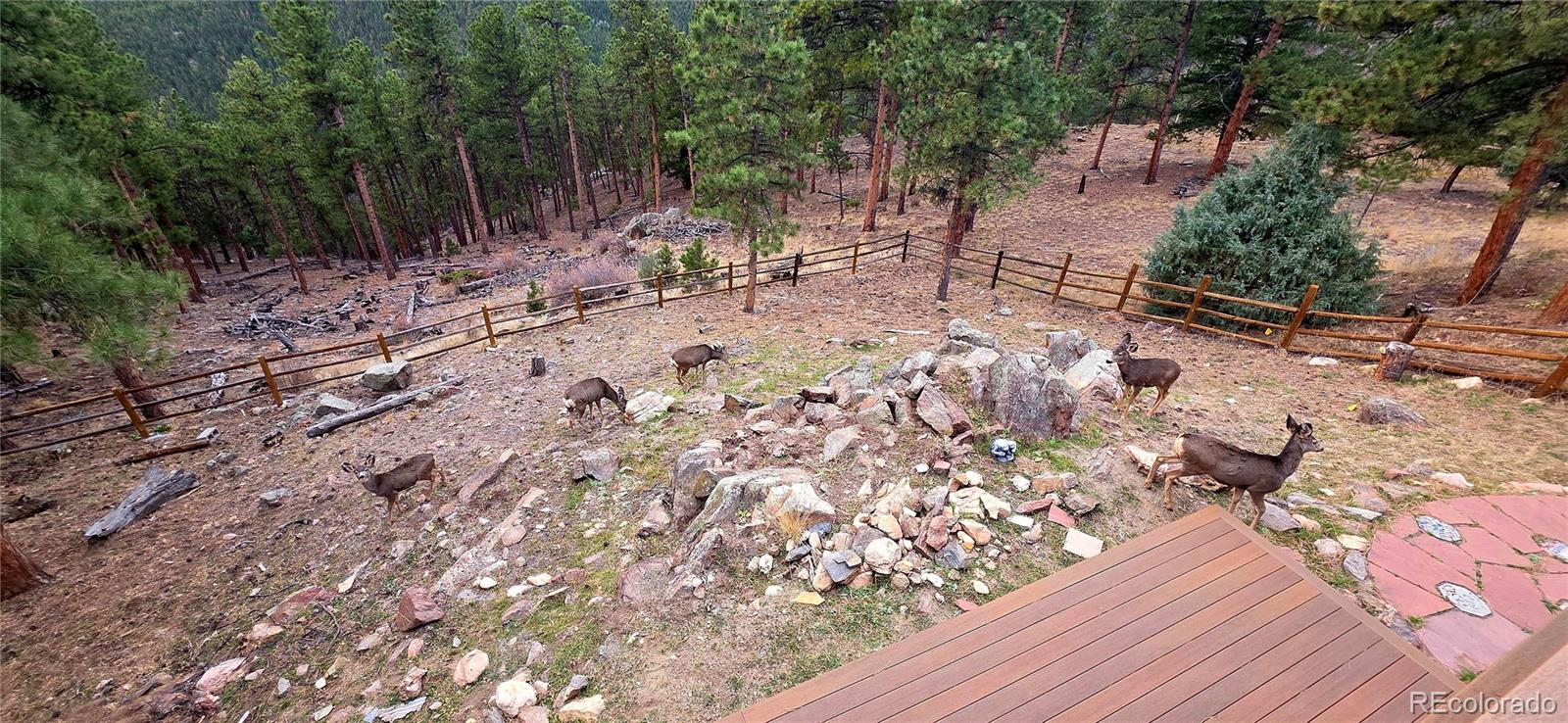 16 Auk Lane Bailey CO 80421