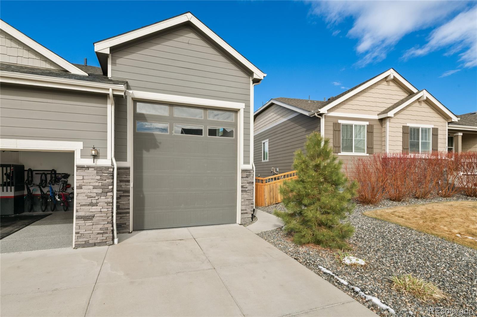 6655 Mentha Drive Castle Rock CO 80108