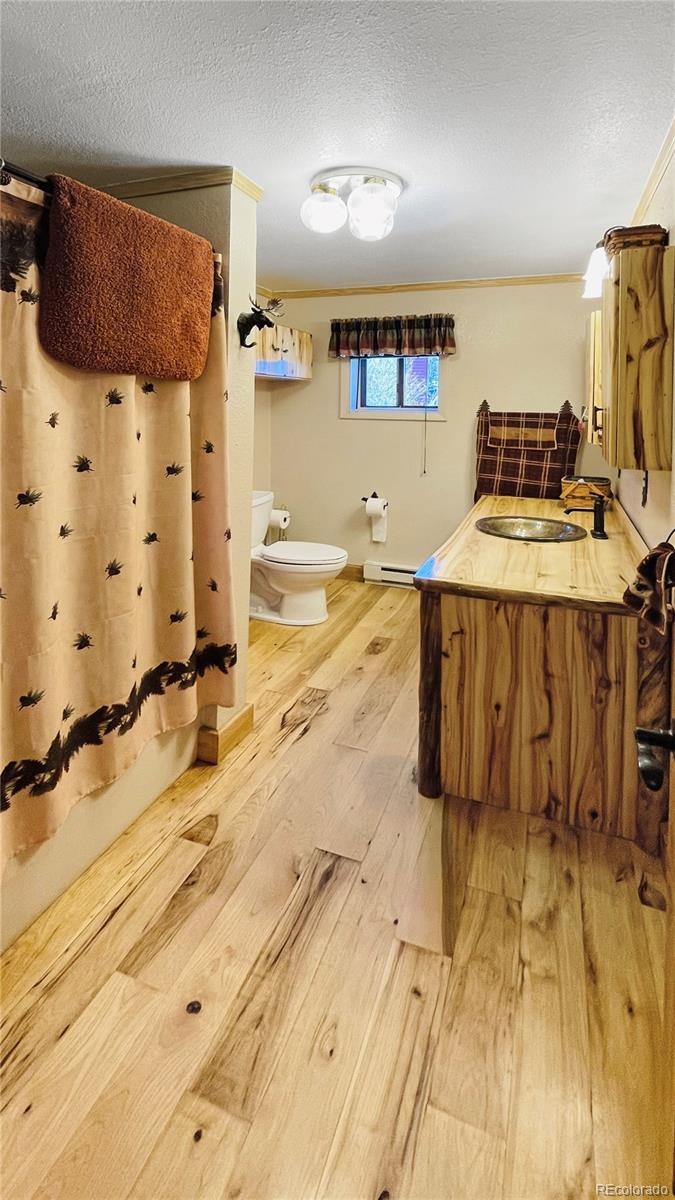 18 Pine Antonito CO 81120