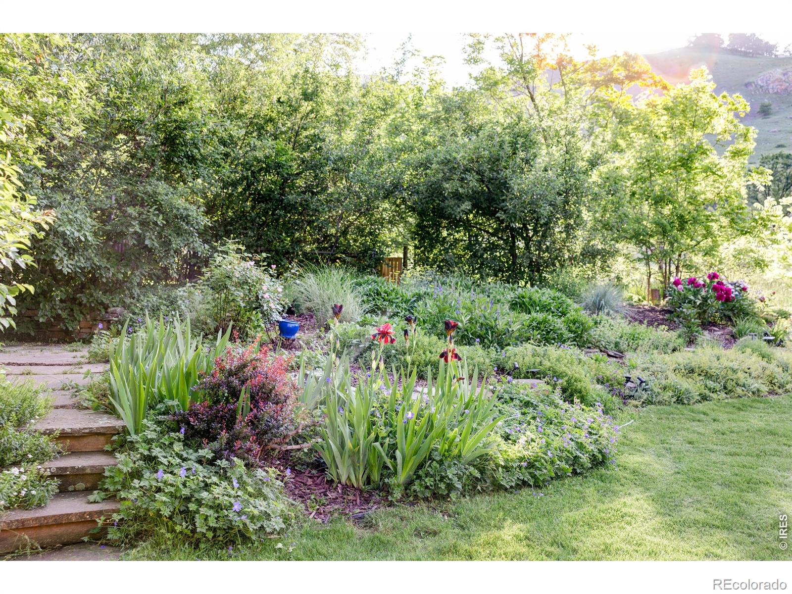 3421 4th Street Boulder CO 80304