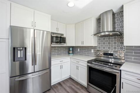 11064 Blackwolf Lane Parker CO 80138