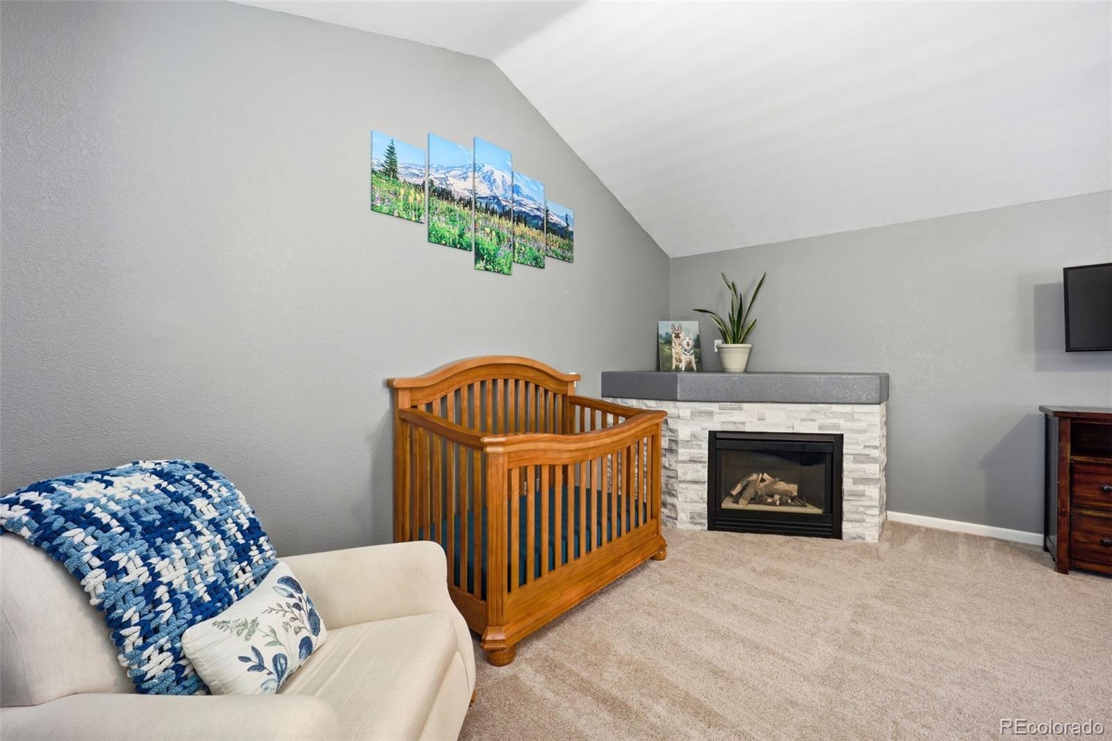 11064 Blackwolf Lane Parker CO 80138