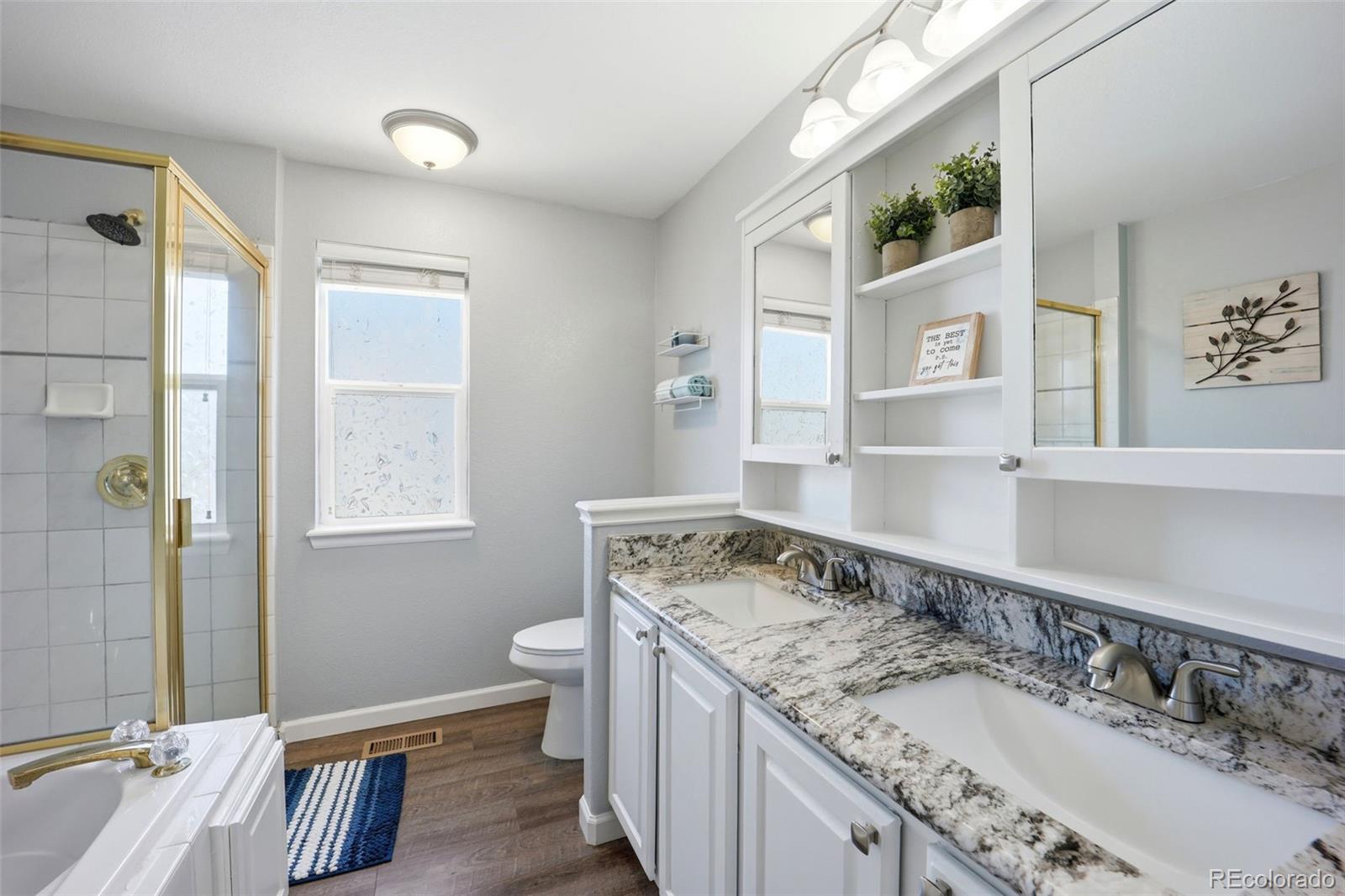 11064 Blackwolf Lane Parker CO 80138