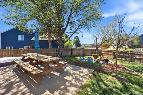 11064 Blackwolf Lane Parker CO 80138