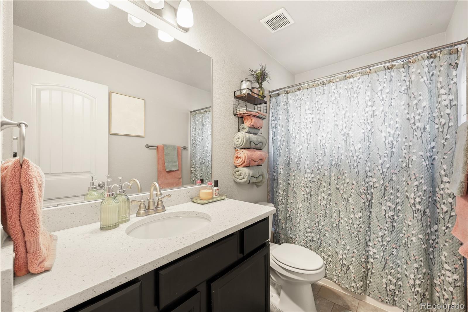 9902 Emerald Vista Drive Peyton CO 80831