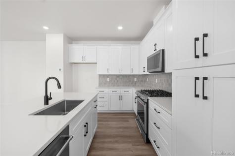 8735 Whiteclover Street Littleton CO 80125