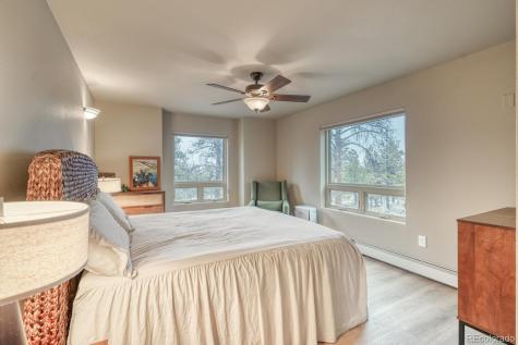 30642 Buck Brush Buena Vista CO 81211