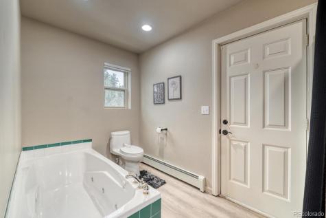 30642 Buck Brush Buena Vista CO 81211