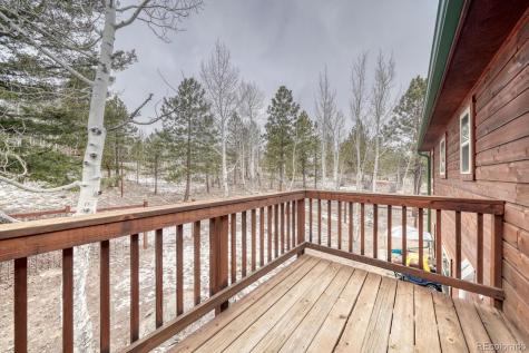 30642 Buck Brush Buena Vista CO 81211