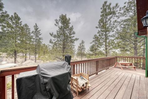 30642 Buck Brush Buena Vista CO 81211
