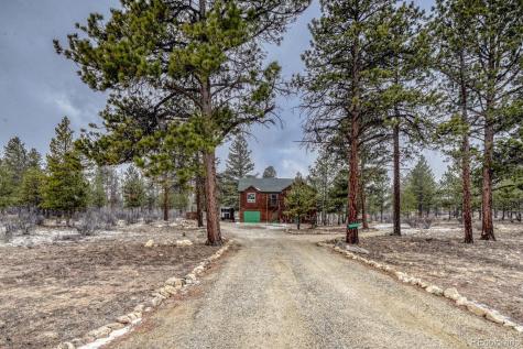 30642 Buck Brush Buena Vista CO 81211