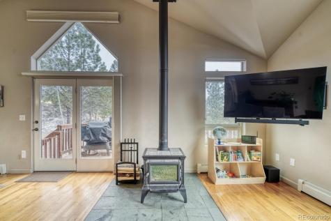 30642 Buck Brush Buena Vista CO 81211