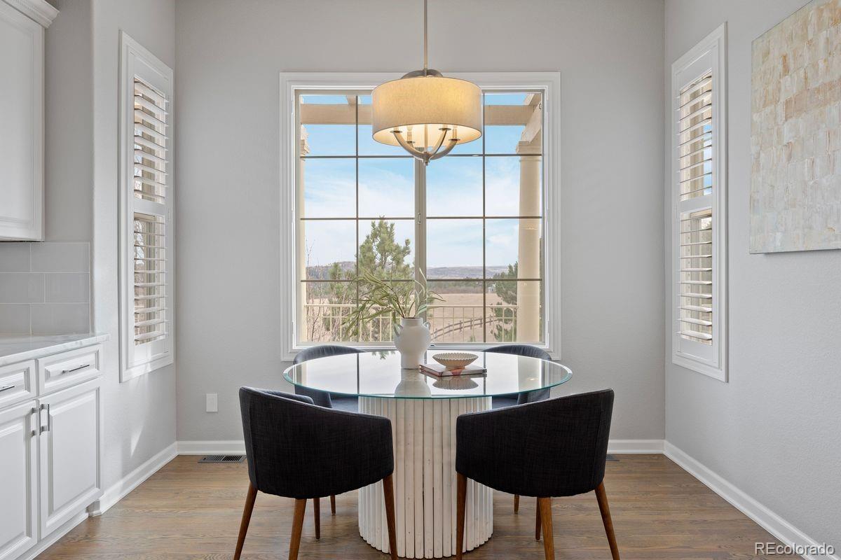 6247 El Diente Peak Place Castle Rock CO 80108