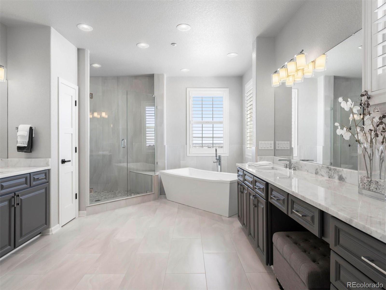 6247 El Diente Peak Place Castle Rock CO 80108