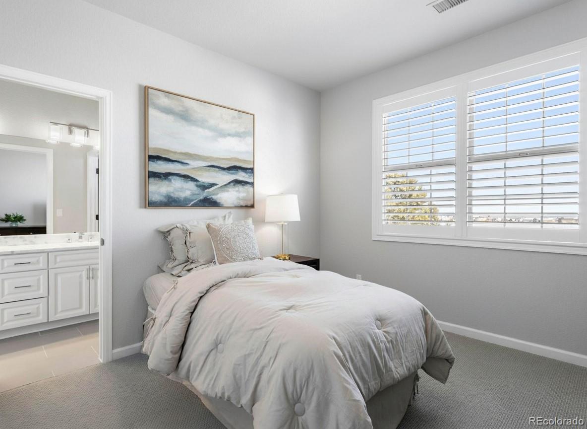 6247 El Diente Peak Place Castle Rock CO 80108