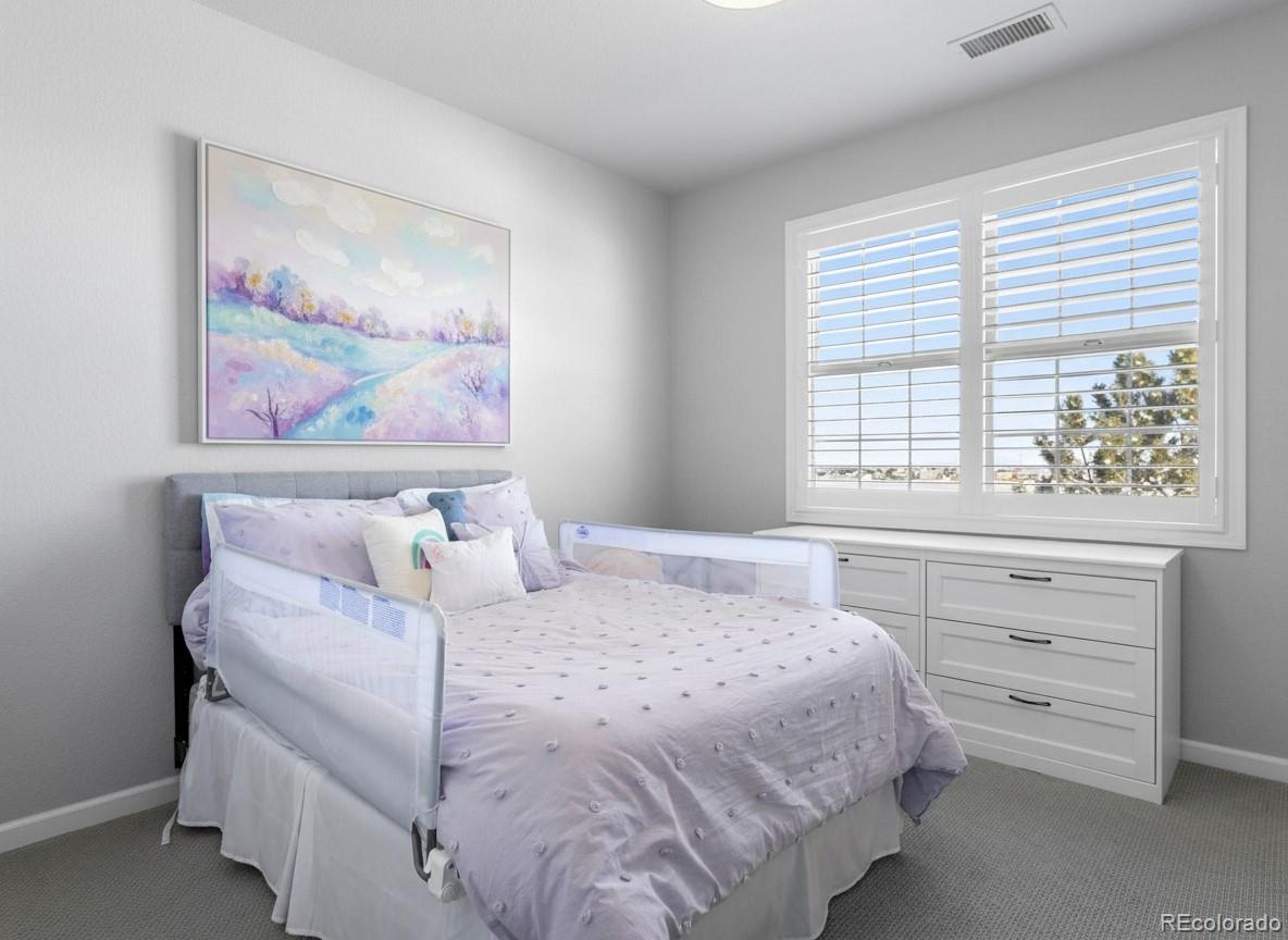 6247 El Diente Peak Place Castle Rock CO 80108