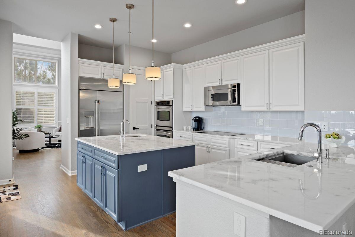 6247 El Diente Peak Place Castle Rock CO 80108