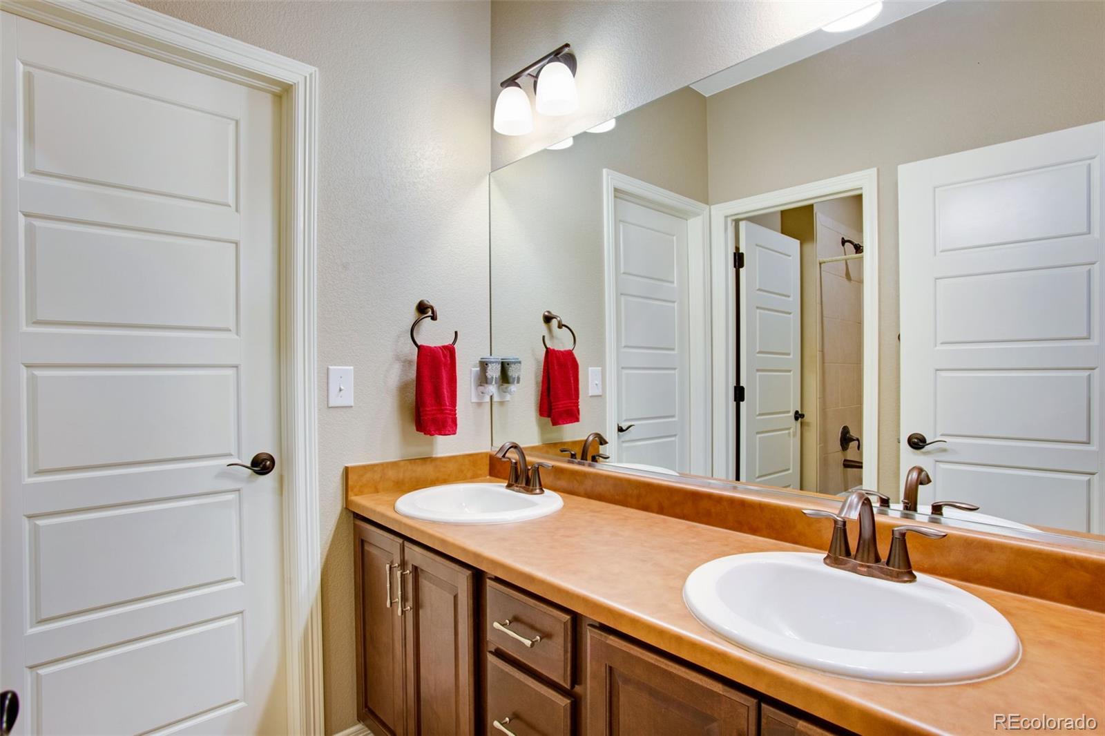 5728 Connor Street Timnath CO 80547