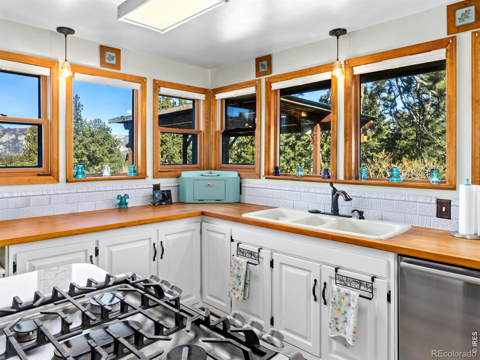 1661 Windham Court Estes Park CO 80517