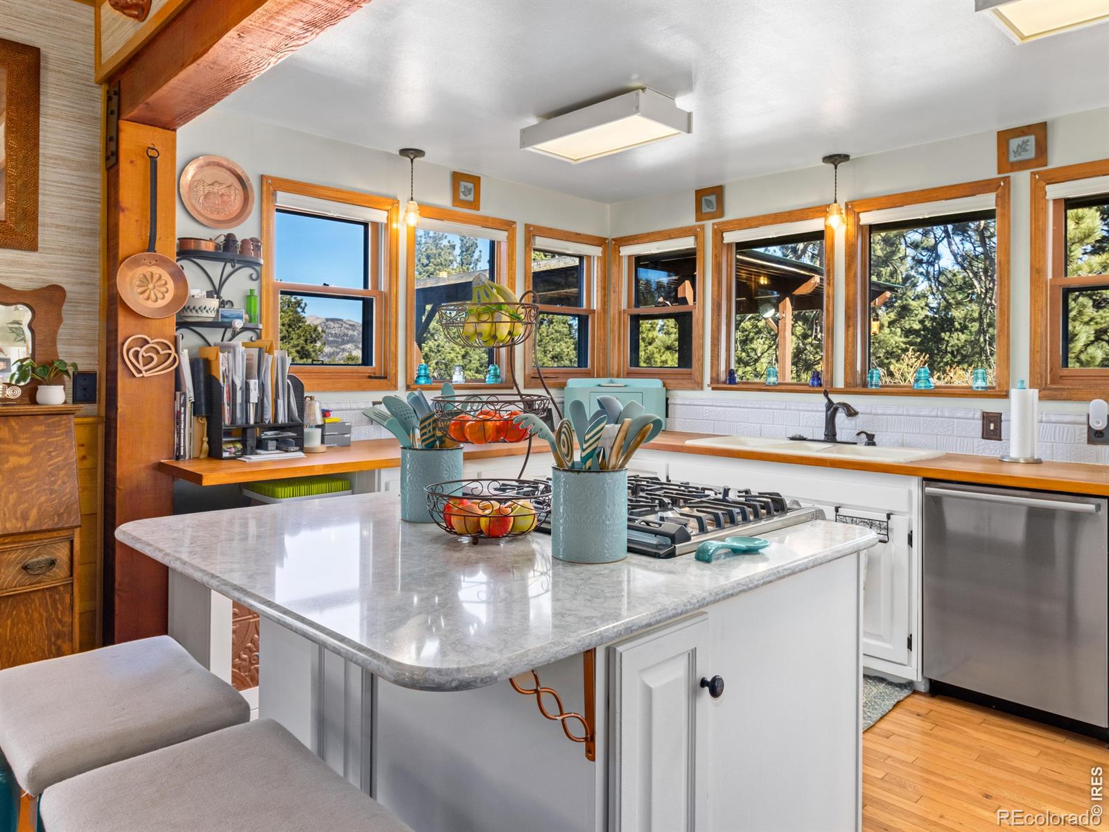 1661 Windham Court Estes Park CO 80517