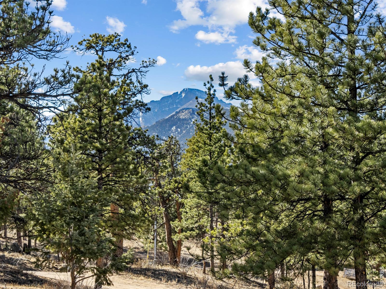 1661 Windham Court Estes Park CO 80517