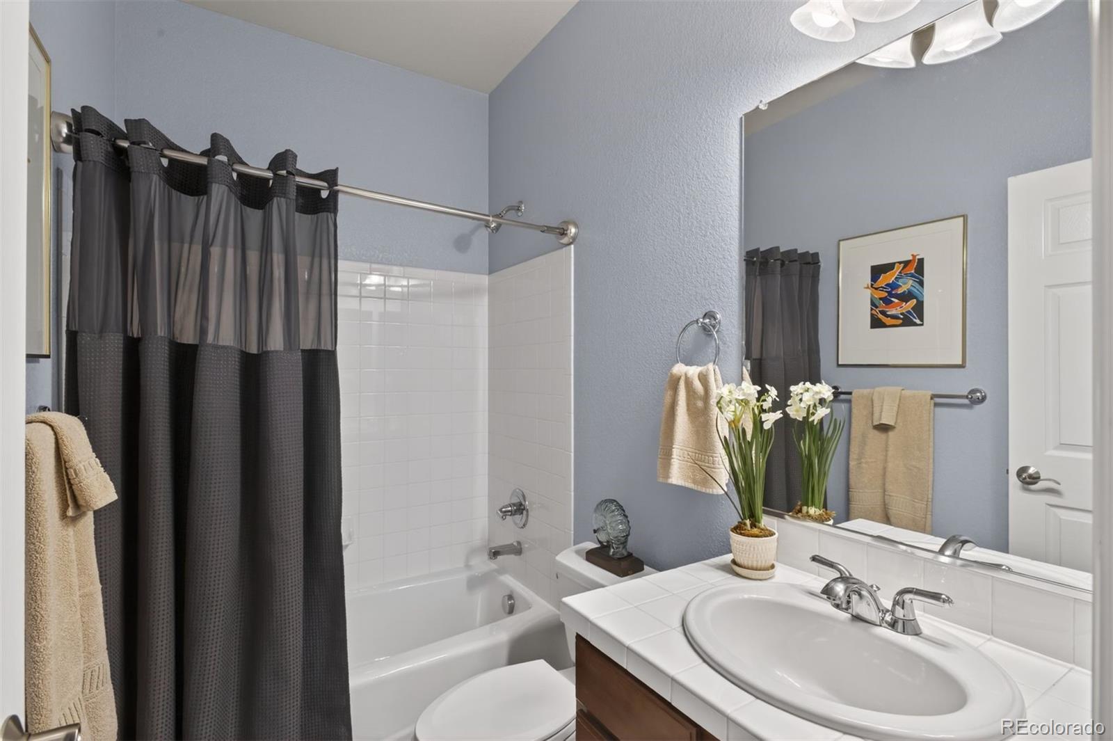 6257 Oxford Peak Court Castle Rock CO 80108