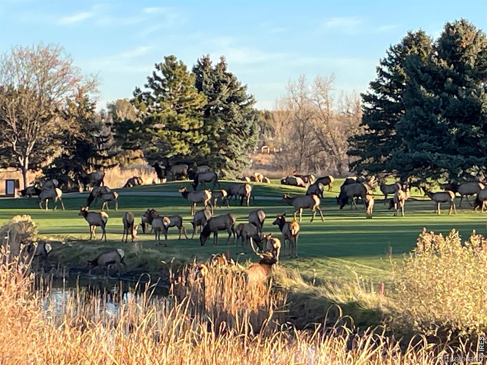 4339 Golf Vista Drive Loveland CO 80537