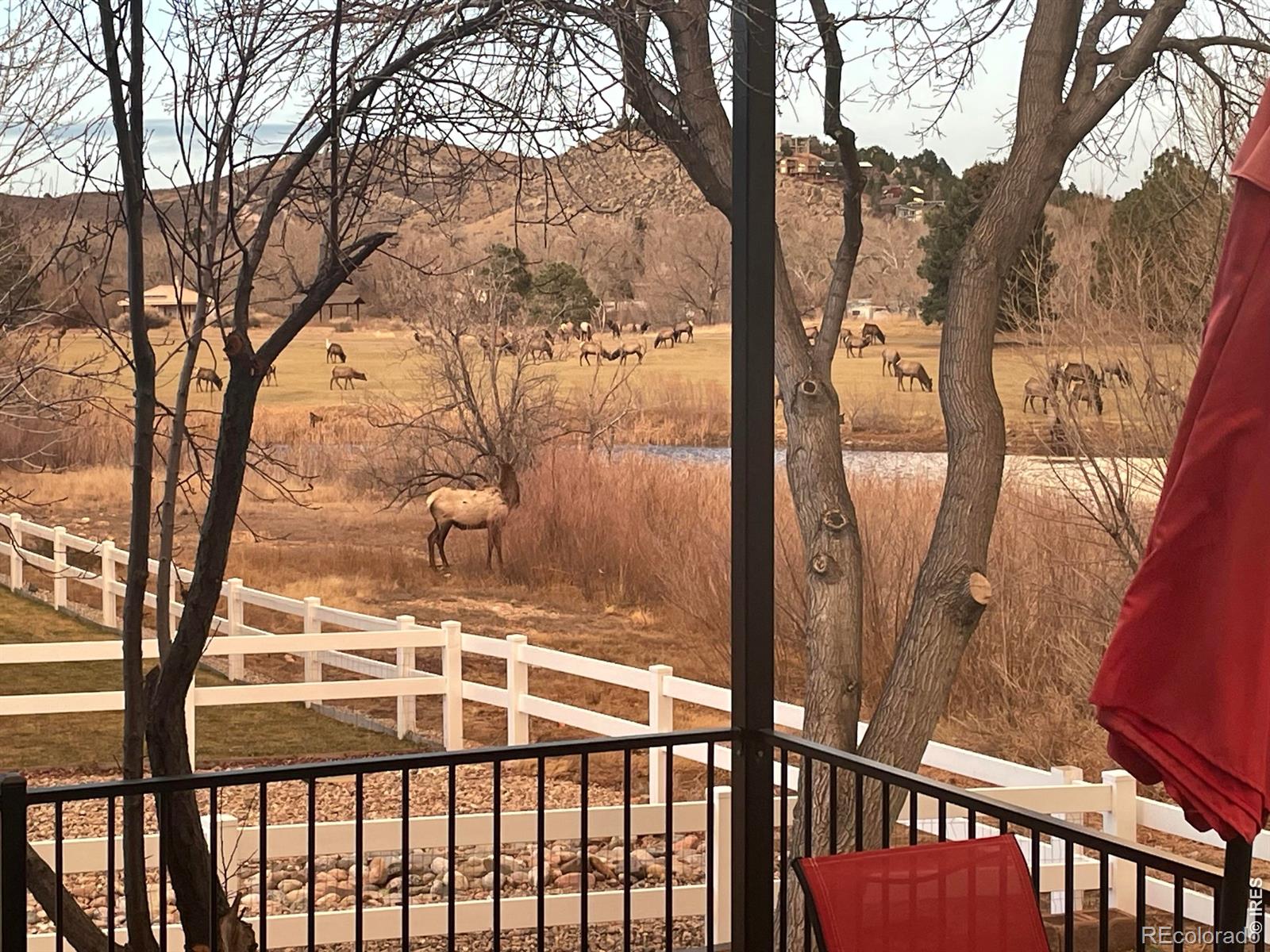 4339 Golf Vista Drive Loveland CO 80537