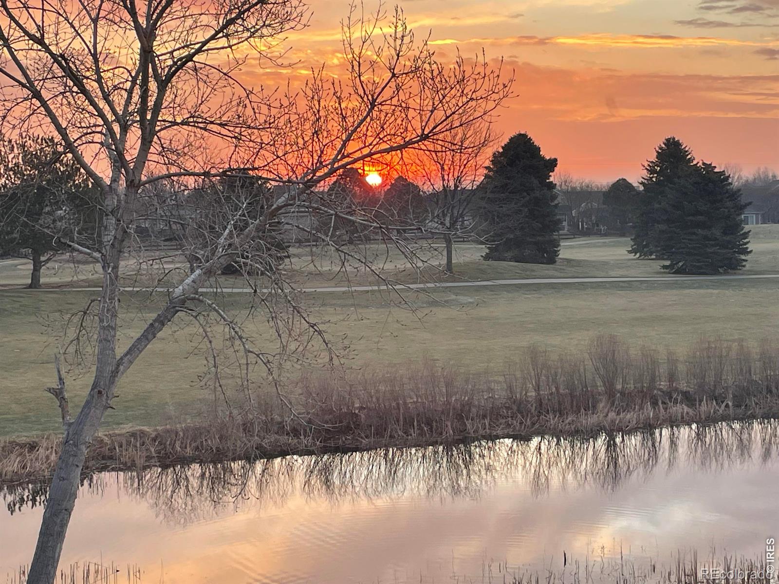 4339 Golf Vista Drive Loveland CO 80537
