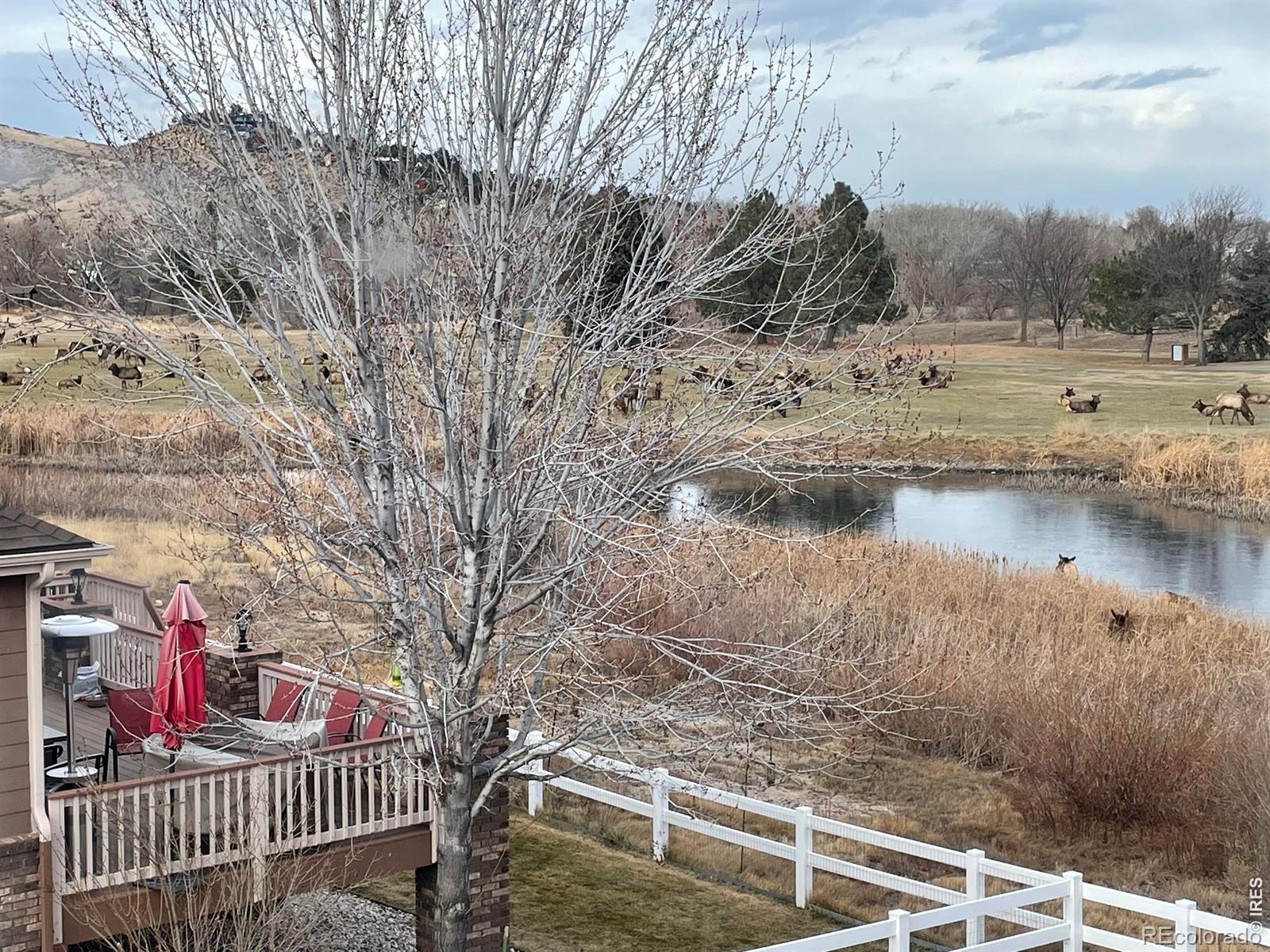 4339 Golf Vista Drive Loveland CO 80537