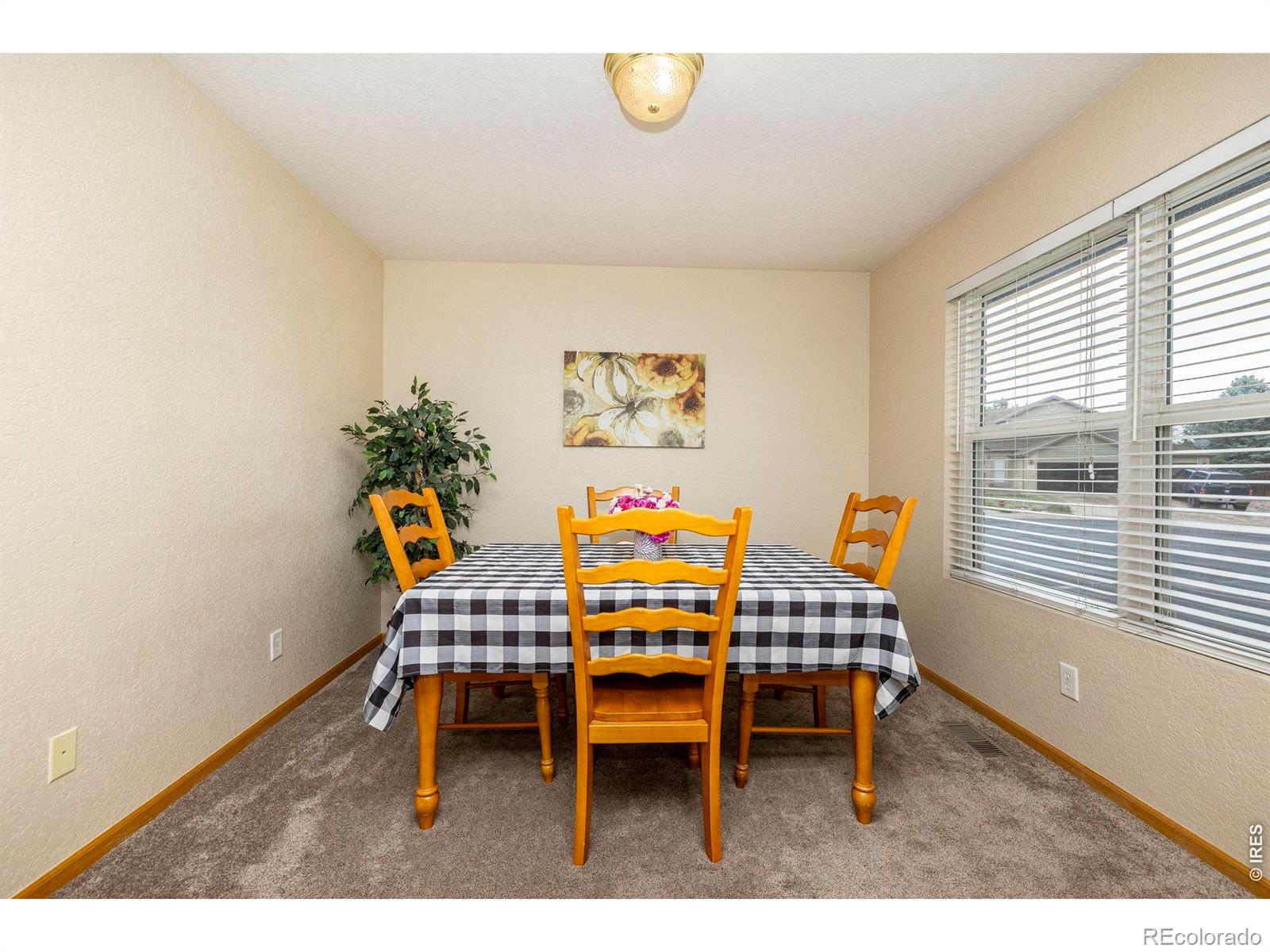 1110 Alpine Court Windsor CO 80550