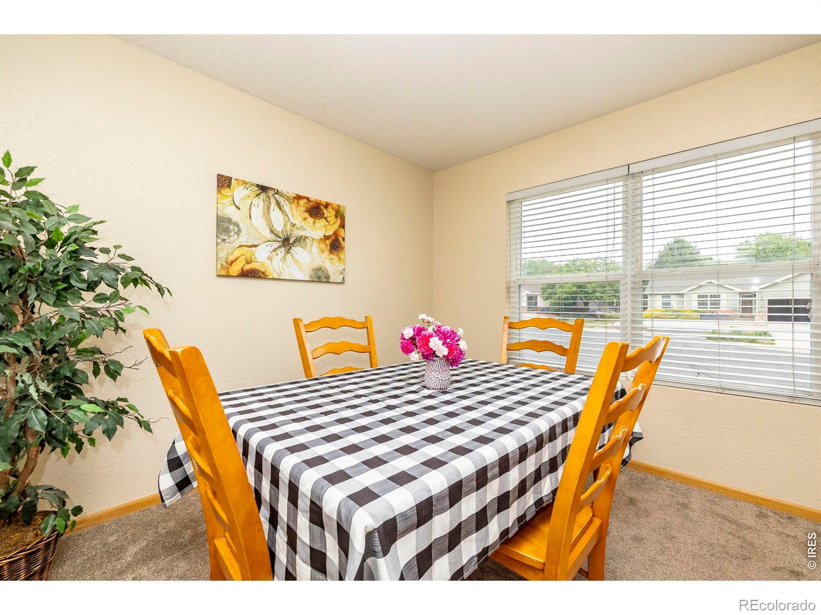 1110 Alpine Court Windsor CO 80550