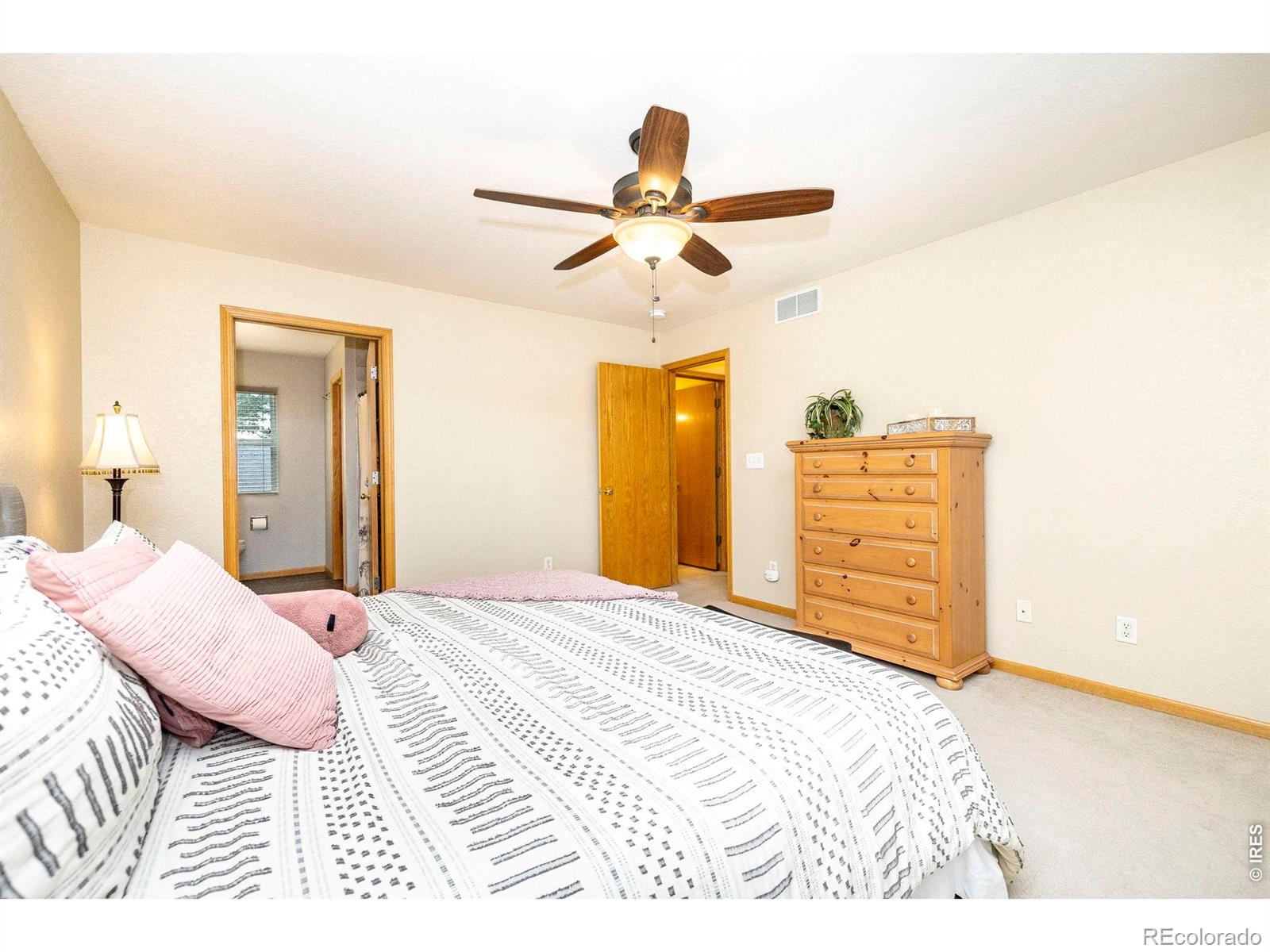 1110 Alpine Court Windsor CO 80550