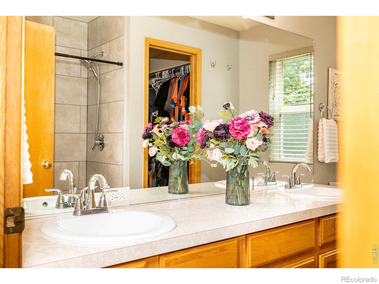1110 Alpine Court Windsor CO 80550