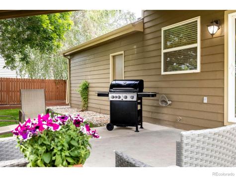 1110 Alpine Court Windsor CO 80550