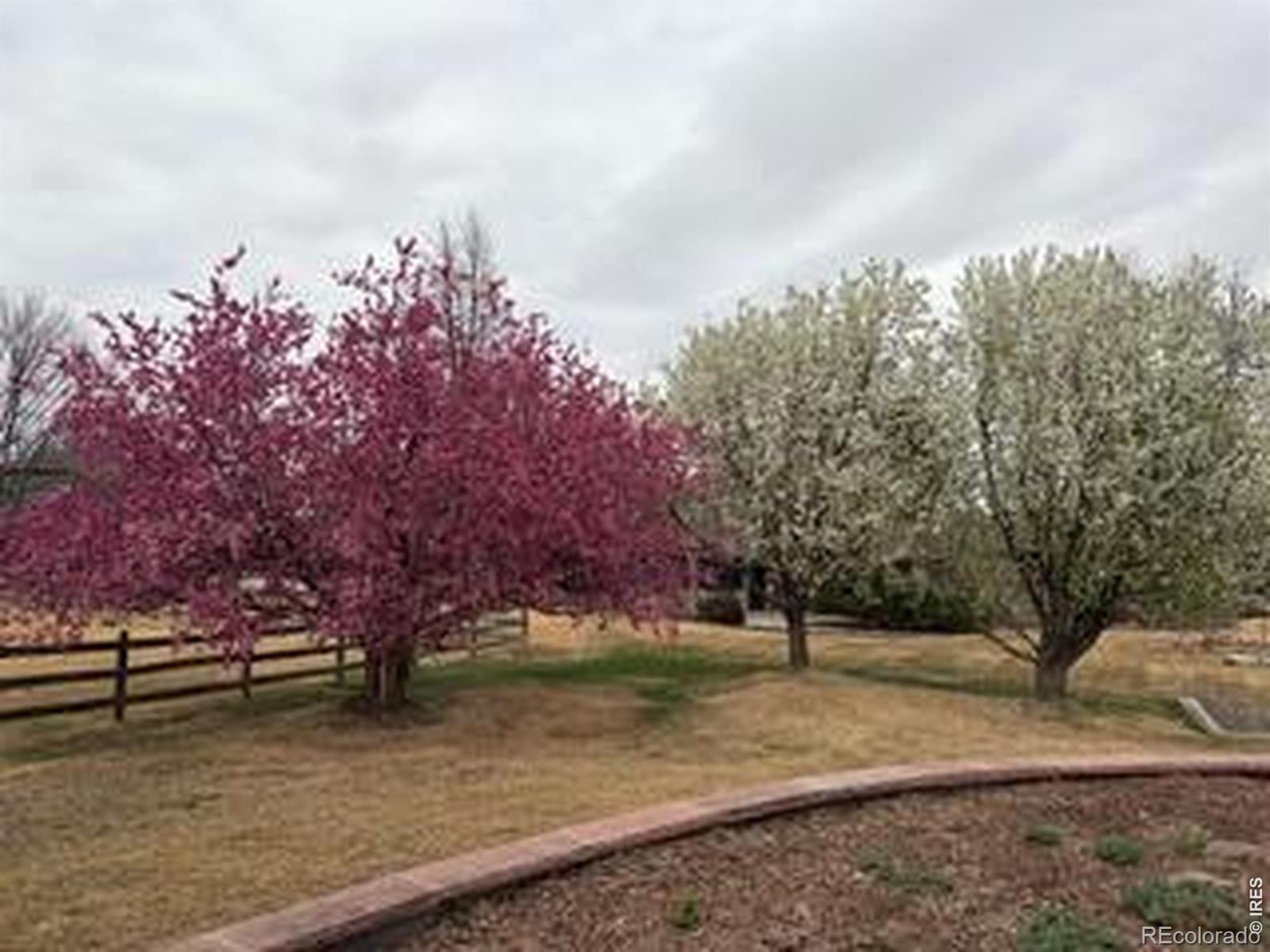 9055 Fieldcrest Lane Longmont CO 80503