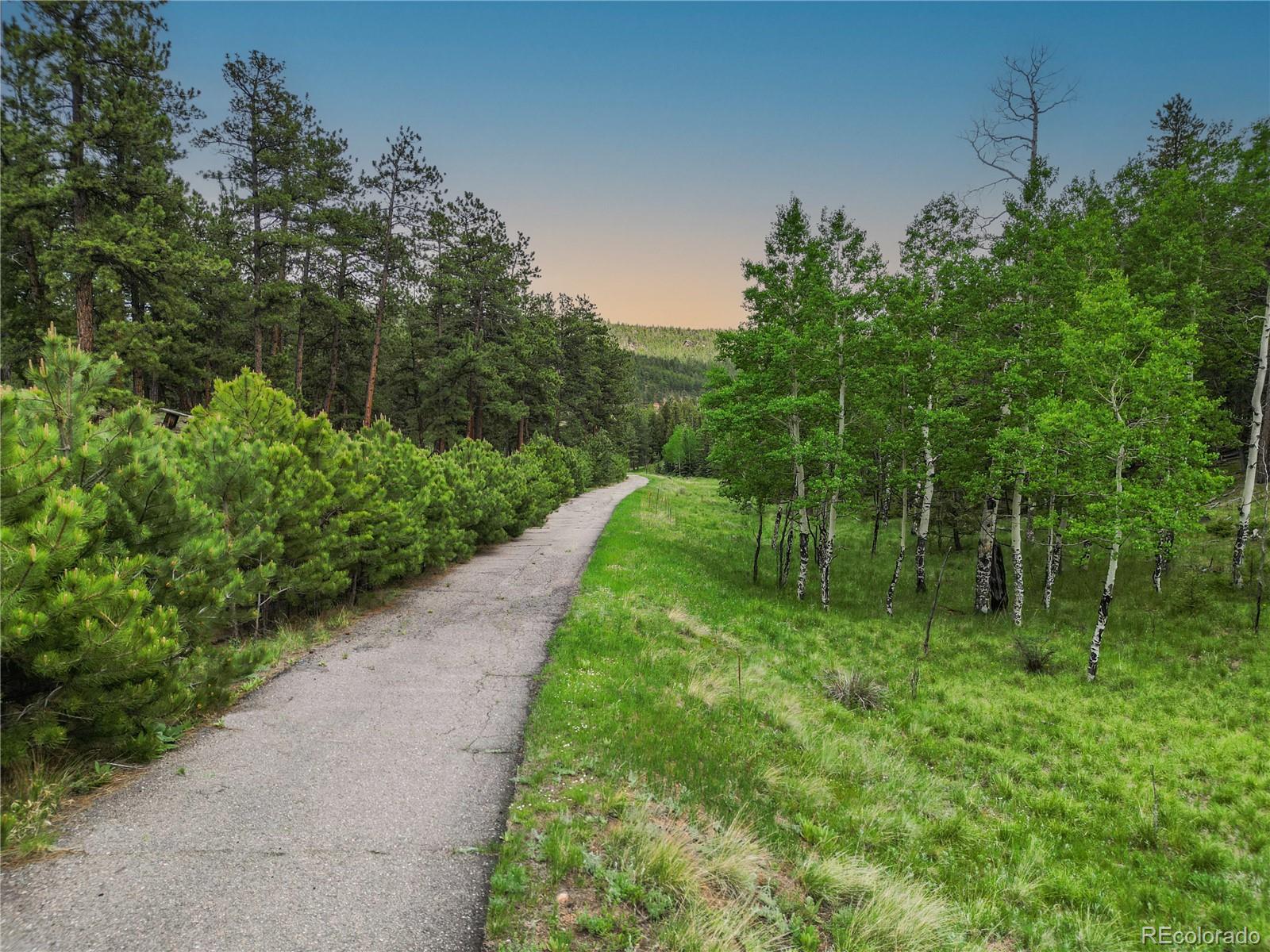 3763 County Road 43 Bailey CO 80421