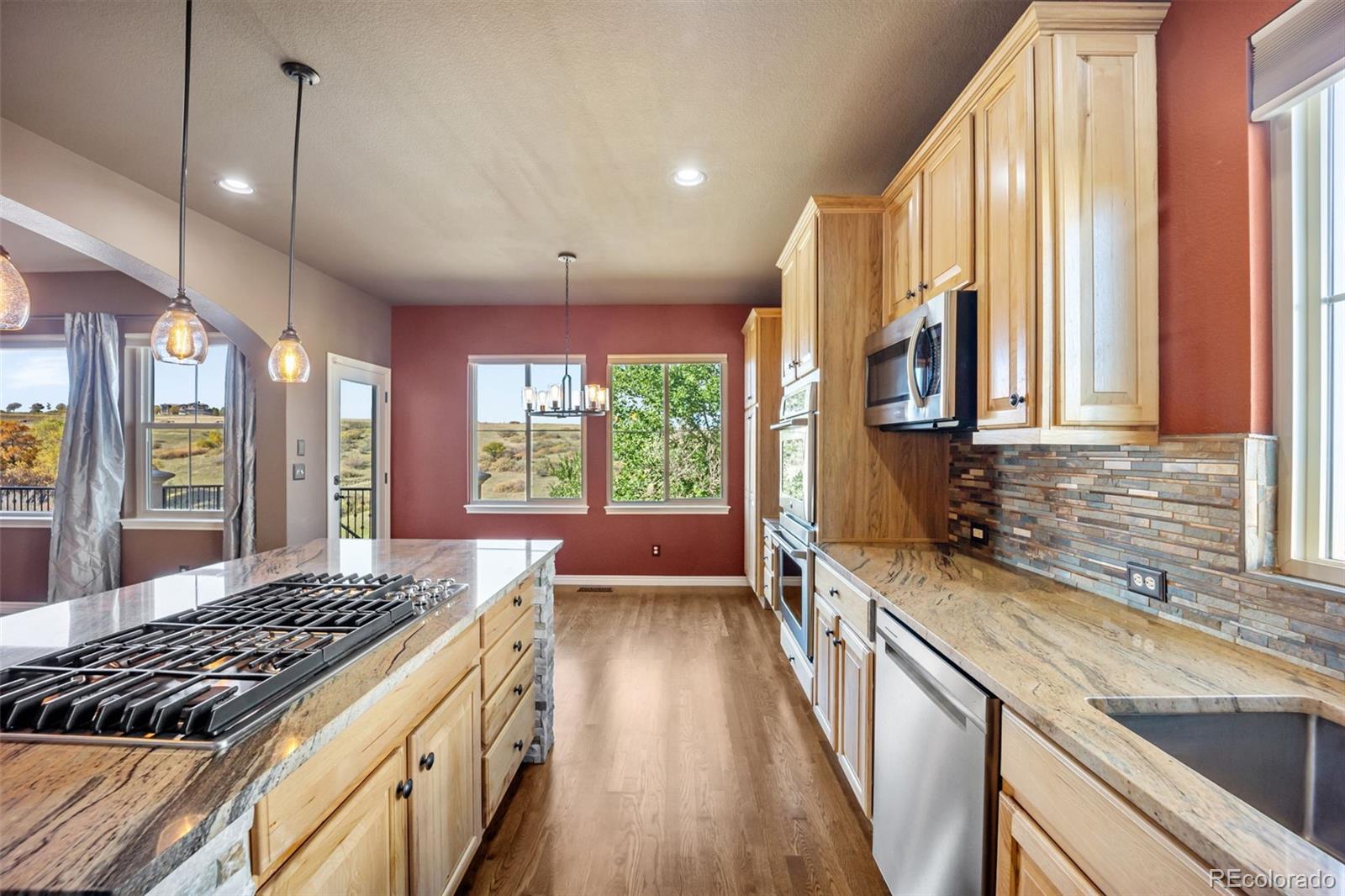 3091 Craig Court Castle Rock CO 80109