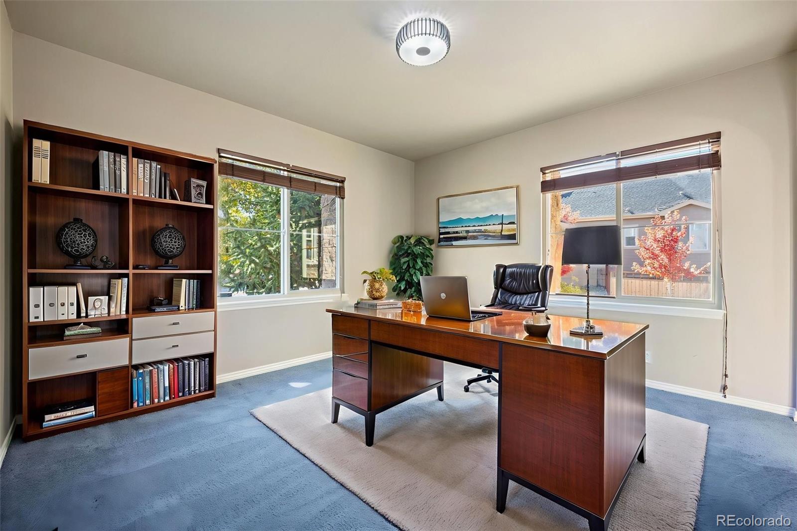 3091 Craig Court Castle Rock CO 80109