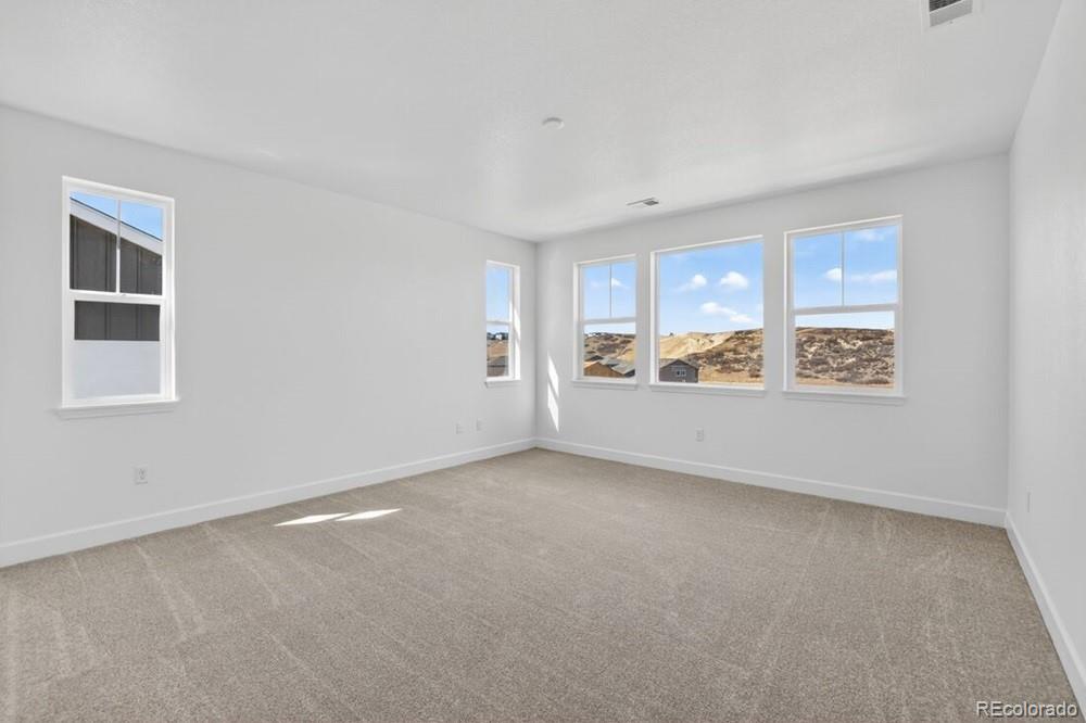4063 Descent Street Castle Rock CO 80108