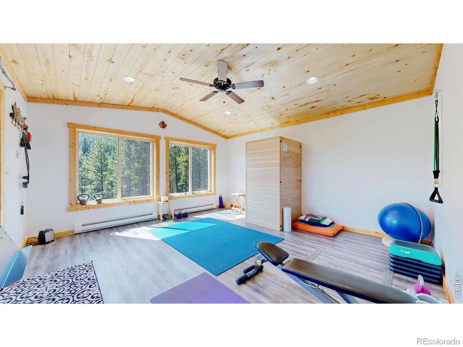 51 Tenino Court Red Feather Lakes CO 80545