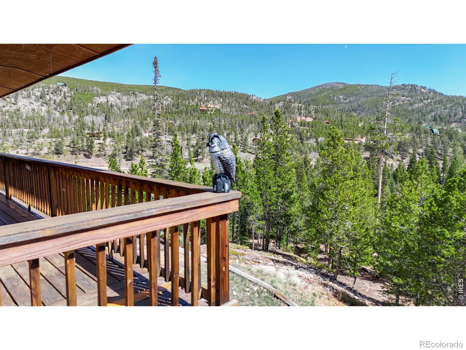 51 Tenino Court Red Feather Lakes CO 80545