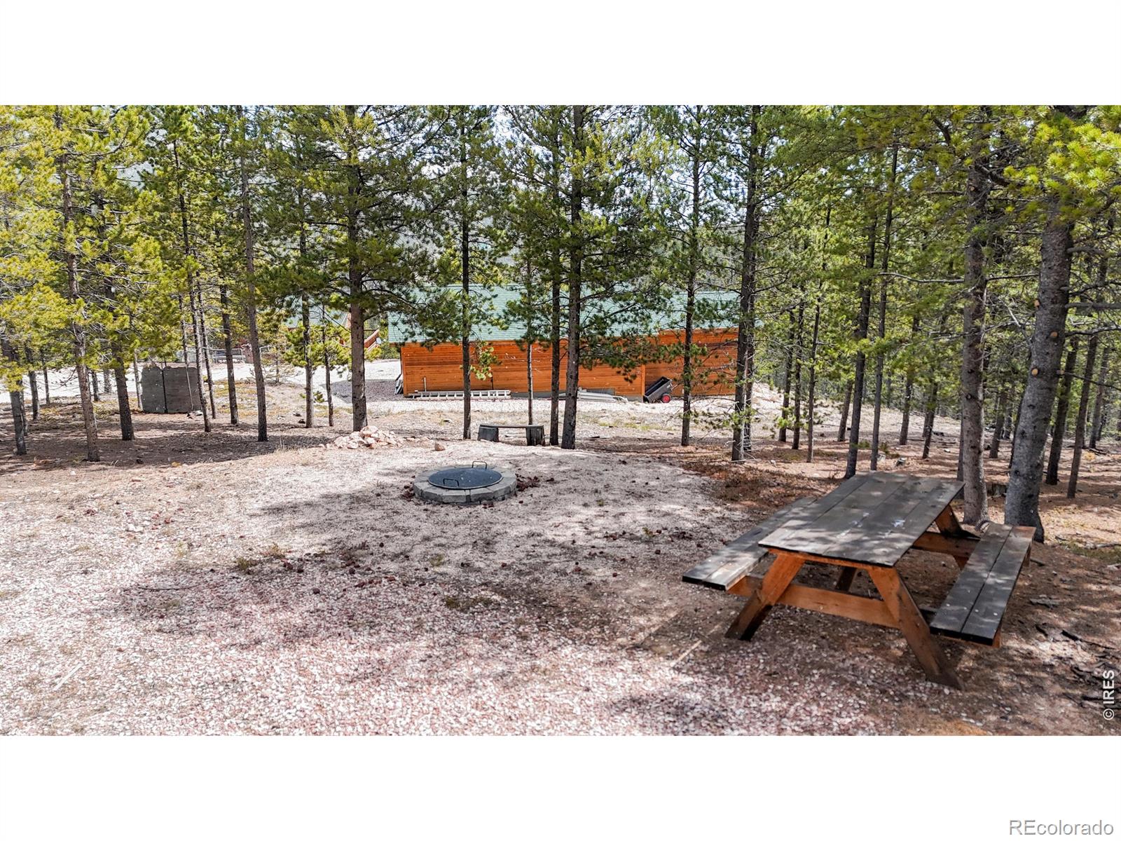 51 Tenino Court Red Feather Lakes CO 80545