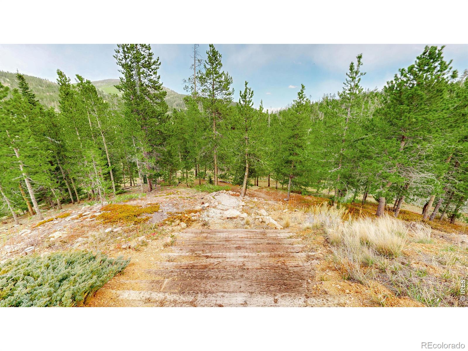51 Tenino Court Red Feather Lakes CO 80545